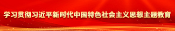 黄片日B学习贯彻习近平新时代中国特色社会主义思想主题教育